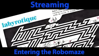 Entering the Robomaze