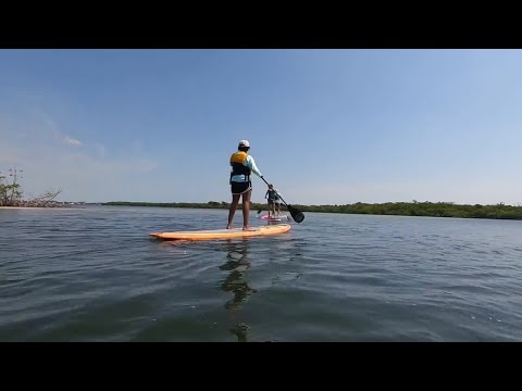 John D. MacArthur Beach State Park aims to educate future generations via exploration