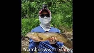 Summer Time Mississippi Backwaters MULTI-SPECIES FISHING PART 1