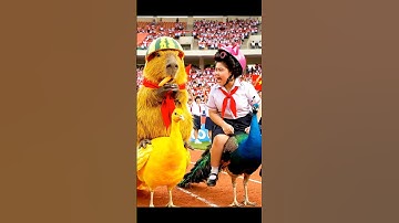 🐹capybara thắng giải nhất trong cuộc đua chim công hài hước #capybara #capybaratinhnghich