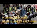 Размер пособия для украинских беженцев в Нидерландах