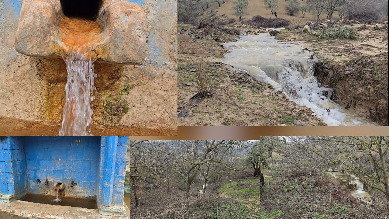 بعد سنة جفاف  عادت الامطار والثلوج  وانفجرت الينابيع في منطقة عفرين   وادي شيخ الحديد #شيه 