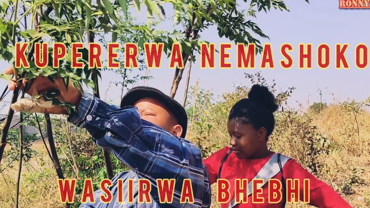 Kupererwa Nemashoko Wasiirwa Bhebhi 💥😒