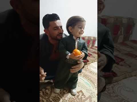 نوروز شيخ نبي باقي خدو