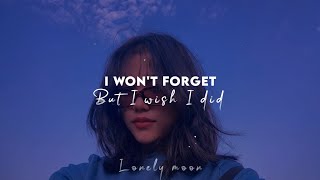 But I Wont Forget The Things You Did I Pick Loneliness Remix Lyrics