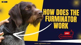 How Does The Furminator Work The Ultimate Pet Grooming Solution
