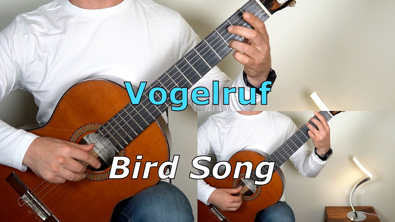 Vogelruf / Bird Song (Guitar Gold by Robert Morandell)