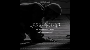 ما تيسر من سورة سبأ |(QS. Saba 34: Verse 50)