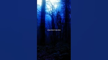 Thumbnail of Under The Influence - Chris Brown ( Sped Up ) Lyrics ~ Lyrical Aesthetics #lyrics #lyricalaesthetics