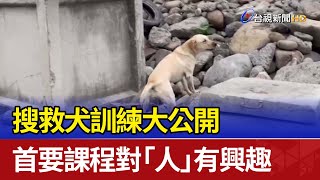 搜救犬訓練大公開 首要課程對「人」有興趣