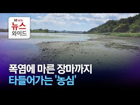 폭염에 마른 장마까지…타들어가는 '농심' / HCN <strong>경북방송</strong>