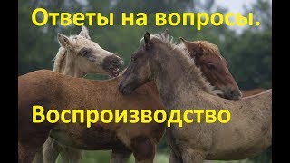 Ответы на вопросы по воспроизводству лошадей