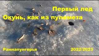 видео: Первый лед. Окунь, как из пулемета. Чудское озеро.2022/2023 картинка: Первый лед. Окунь, как из пулемета. Чудское озеро.2022/2023