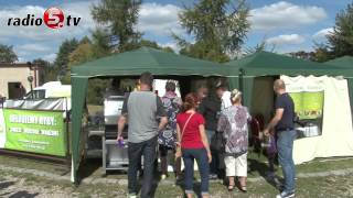 Sieja Królowała W Wigrach