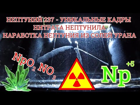 НЕПТУНИЙ 237 - НАРАБОТКА НЕПТУНИЯ ИЗ СОЛЕЙ УРАНА. РАДИОАКТИВНЫЙ РАСПАД НИТРАТА НЕПТУНИЛА