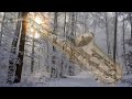 ✨🎷 Снежная нежность... &quot;Саксофон и снег&quot;. Музыка Андрея Обидина.  Andrei Obidin - Saxophone and snow