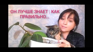 #Спецоперация : если не знаешь с чего начать пересадку комнатных цветов- спроси у Ганса🤧😂😇