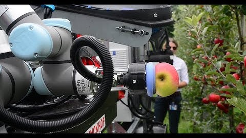 Apple picking robot - NXTGEN Hightech teaser 2024