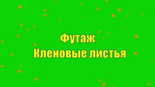 Кленовые листья на зеленом фоне. Футаж для монтажа.