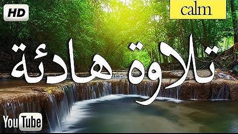 هدوء وسكينة لمن ضاق صدره 💚 القران الكريم 💚 تلاوة خاشعة بصوت جميل جدا