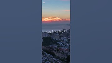 سورة التكاثر 💓