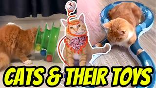These Cats Have ZERO Chill When It Comes To Their Toys! 😂