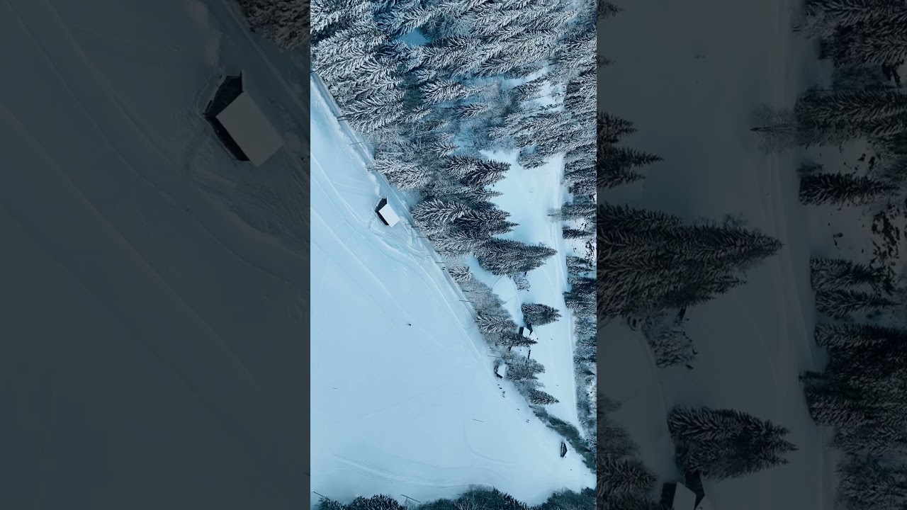 Les contaminés Montjoie drone