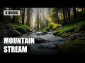 Stream Sounds for Sleeping (No Ads) | 8 Hours Mountain Creek, Birds & Nature #deepsleep #watersounds