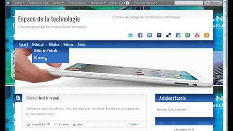 Add Categories and Menus to Your WordPress Site