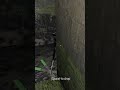 How does ts happen to me on a dailyTwitch.tv/jordanstanco_ get in the lives#granny #glitch #wtf