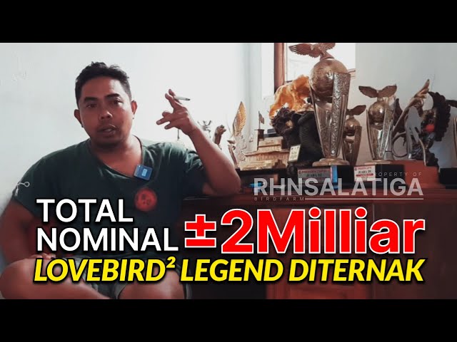 2 Milliar Hanya di Kandang Ternak #rhnsalatiga #ljbirdcontest#lovebirdkonslet class=
