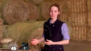 How To Sample Silage Hay