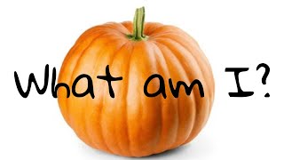 What is Punkin???