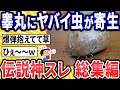 【2ch面白いスレ】ワイの大事なところにヤバい虫がおるんやが・・・【ゆっくり解説】