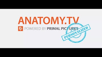 Personal Profile   creating    Primal Pictures