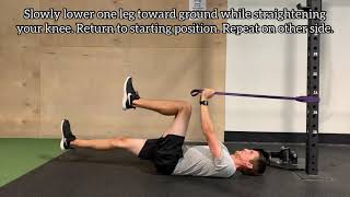 Famous Band Assisted Dead Bug Net Worth