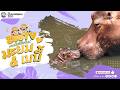 🔴 Live! Mayom & Baby | 8-6-2026 , 00:00 | Zoo TV สวนสัตว์เชียงใหม่