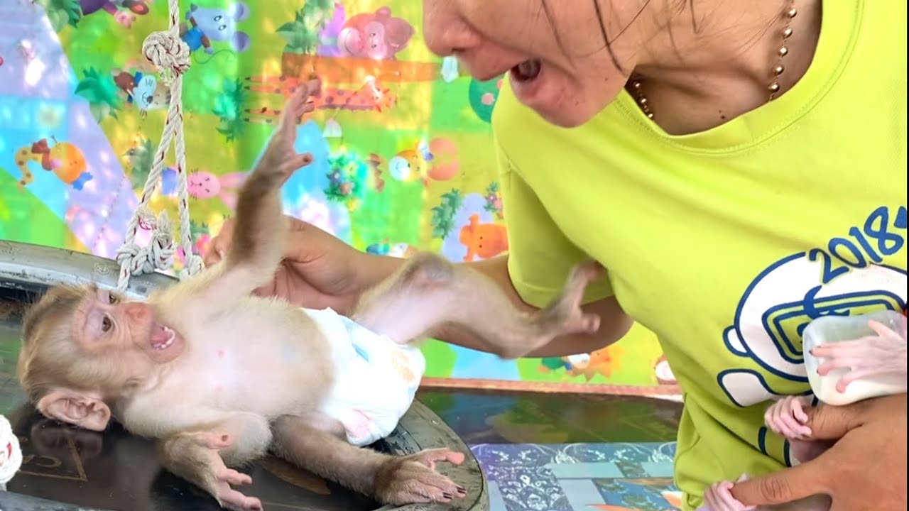 So happy!! Mom plays with her  little ones TORO and LIORA after drinking milk and Steam cakes