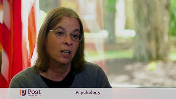 Bachelor of Psychology | Post University