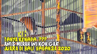 PADAHAL UNIK DAN ASYIK TAPI KOK GAK HOKI