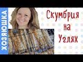 CКУМБРИЯ НА УГЛЯХ по-стихарёвски | БЫСТРО | ДЁШЕВО | ВКУСНО| Лучший рецепт для дачи