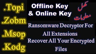 How to Remove TOPI Ransomware Virus (Djvu Family) Offline and Online Key Solution Urdu Hindi