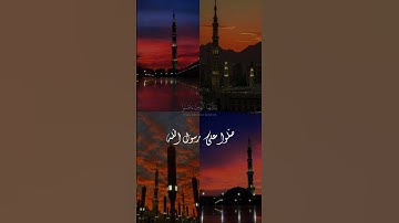 إن الله وملائكته يصلّون على النبيّ 🤍 - ياسر الدوسري - قرآن كريم ☝️✨