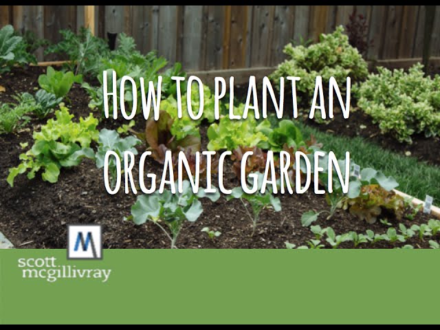How to Plant an Garden -