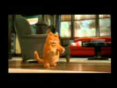 Kucing garong-garfield - YouTube