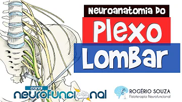 Quais nervos passam na lombar?