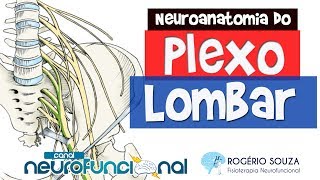 Nervioso hipogastrico plexo