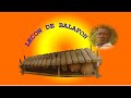 Apprendre le balafon leon 3