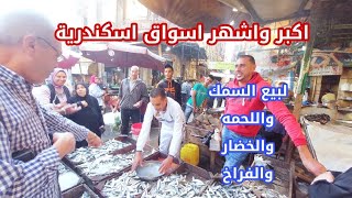 سوق الميدان اسكندرية | اسعار اليوم| اسعار اللحمه| والسمك والجمبرى