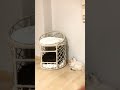 Ted&amp;Sütlaç (Sütlaç yaramazlık peşinde) #kedivideoları #kedi #kedishorts #kedi #cat #cats #catvideos